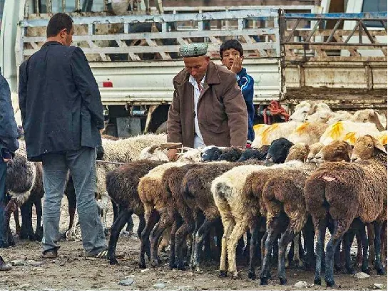 Zhangjiajie 2-Day Express Tour
